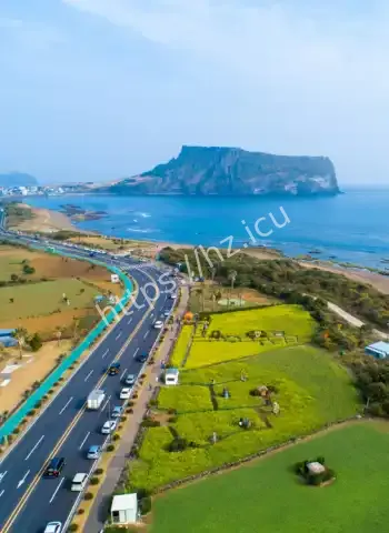 韩国突然放大招